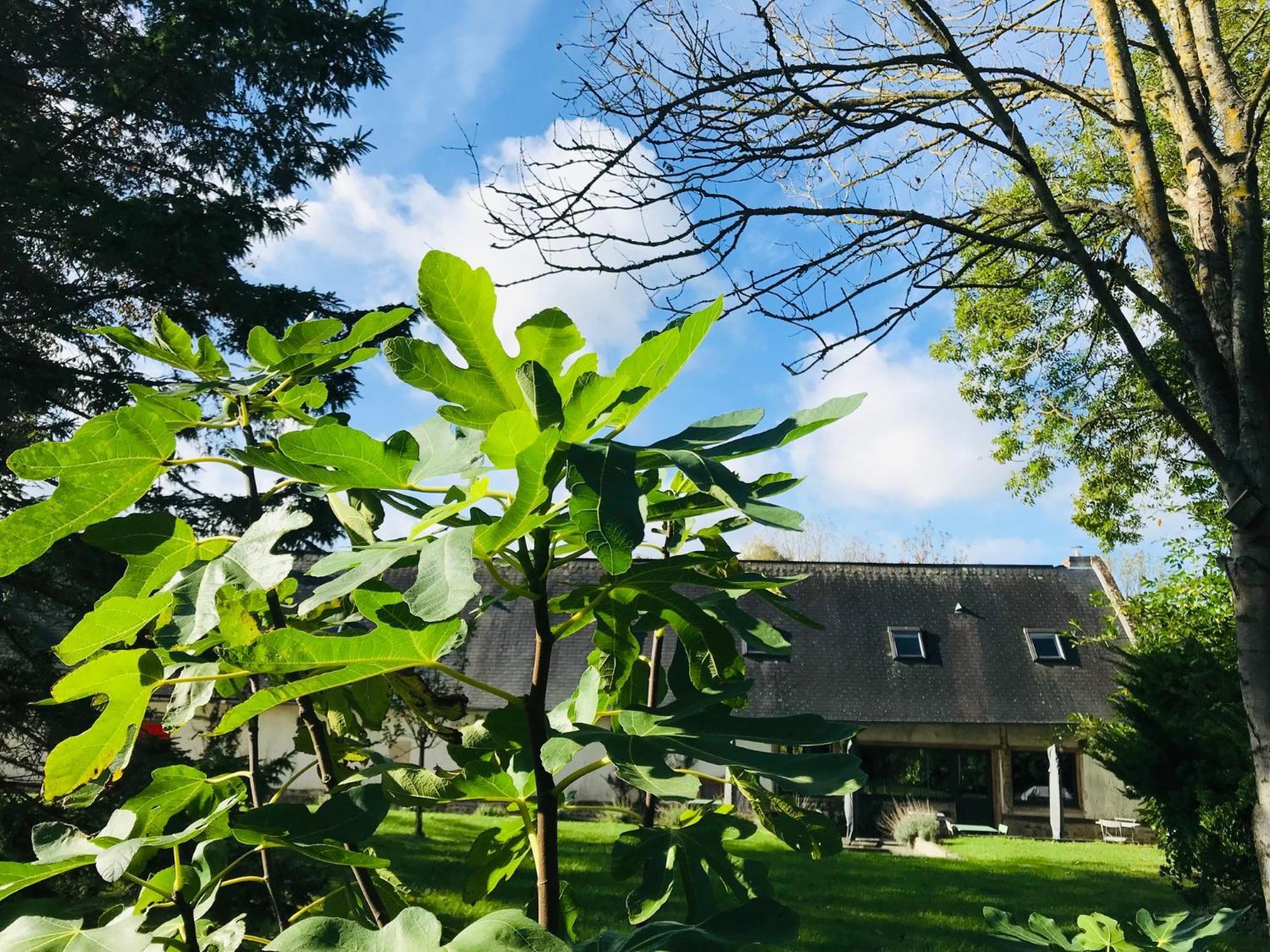 Rouge Cottage Gite 4 Etoiles Billard Gueutteville-les-Gres Exteriér fotografie